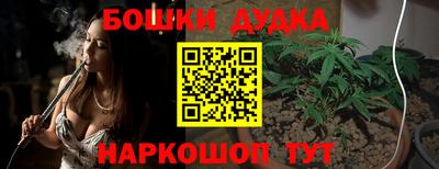 сатива Апшеронск