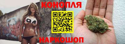мдпв Аргун