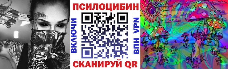 mega ONION  Аргун  Галлюциногенные грибы Psilocybe 