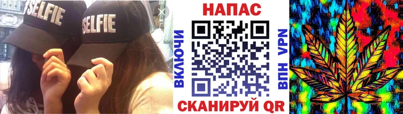 Бошки Шишки сатива Аргун